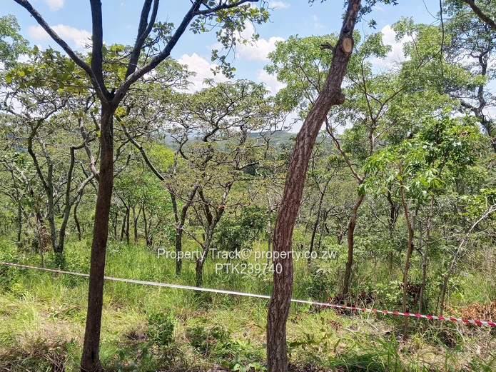 Excellently Positioned!