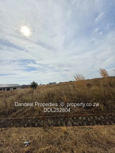 A choice of 3 stands. 2000 sqm Pomona Stand on Paved Road with Drainage