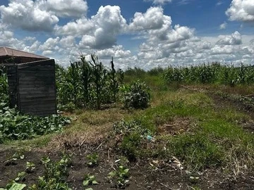 Build Your Dream Home