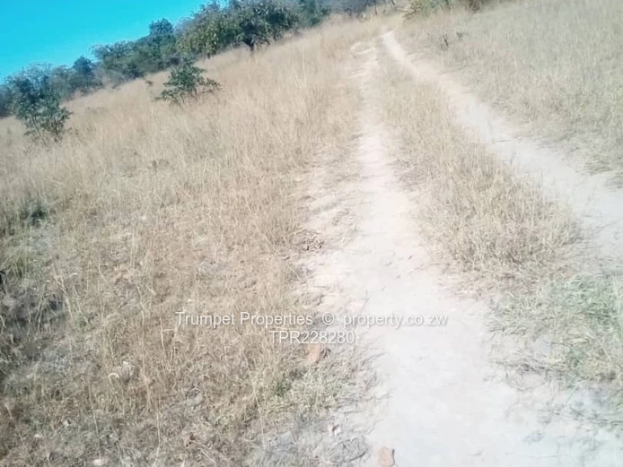 Land For Sale Along Nyanga Road (Sole Mandate)