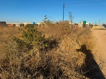 Land