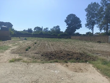Stands & Residential Land