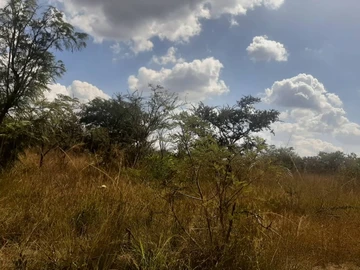 Farm & Agricultural Land