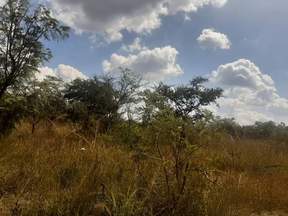 Farm & Agricultural Land