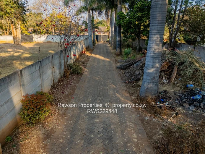 Golden Oldie in Marlborough 