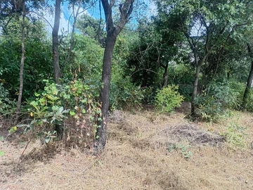 Commercial & Industrial Land