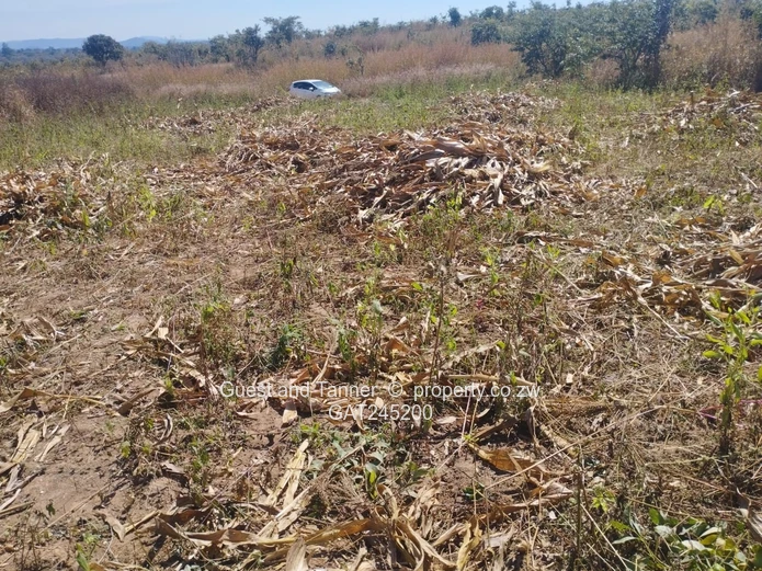 Residential Land For Sale In Buckland Terraces Estate Pomona