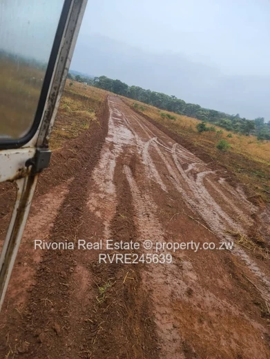 Chinhoyi Mzari stands only 1000usd deposit