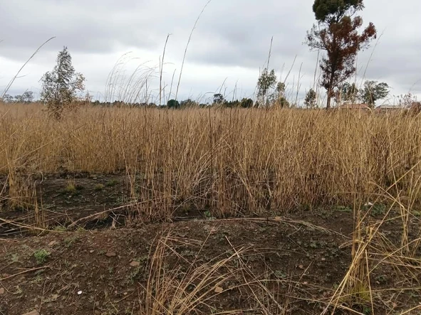 Stands & Residential Land