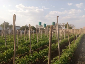 Farm & Agricultural Land