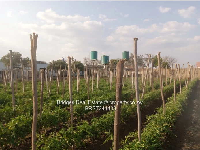 Fully Operational Peri Urban Agro Residential Plot (Sole Mandate)