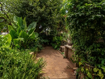 3 Bedroom Garden Flat