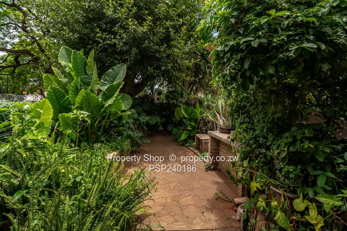 Fully Furnished 3 Bedrooms Garden Flat