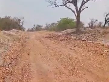 Farm & Agricultural Land