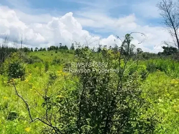 Farm & Agricultural Land