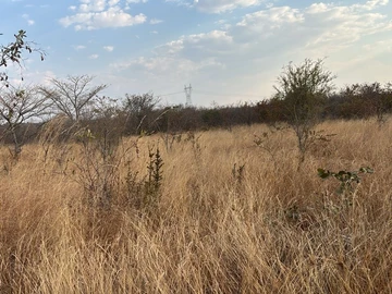 Commercial & Industrial Land