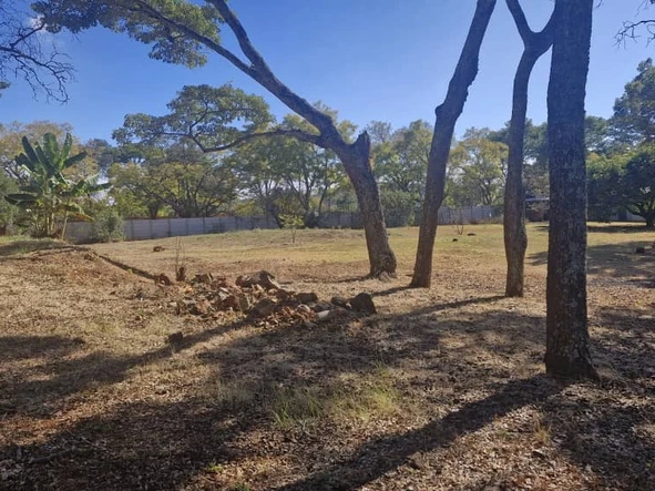 Stands & Residential Land