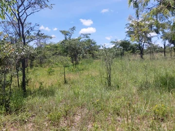 Farm & Agricultural Land