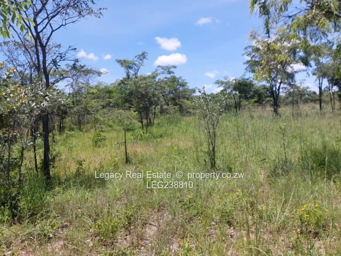 Prime Land Holding Opportunity,Goromonzi Agricultural Plots for Sale