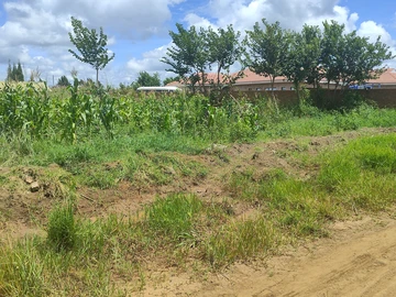 Stands & Residential Land