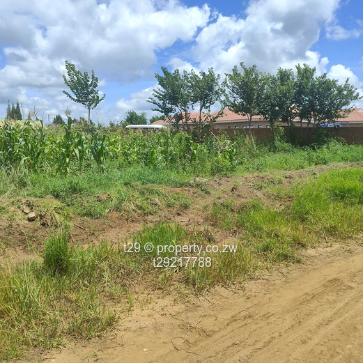 Westgate Sandton stands for sale (Sole Mandate)