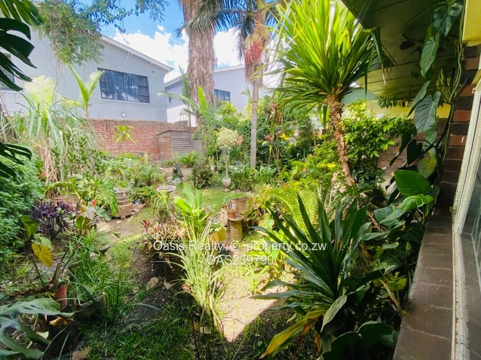 A rare opportunity to secure a neat, well-serviced garden apartment in Avondale.