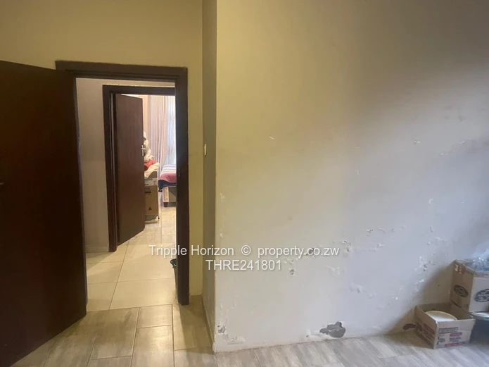 Borrowdale- Sam Levy (Sole Mandate)