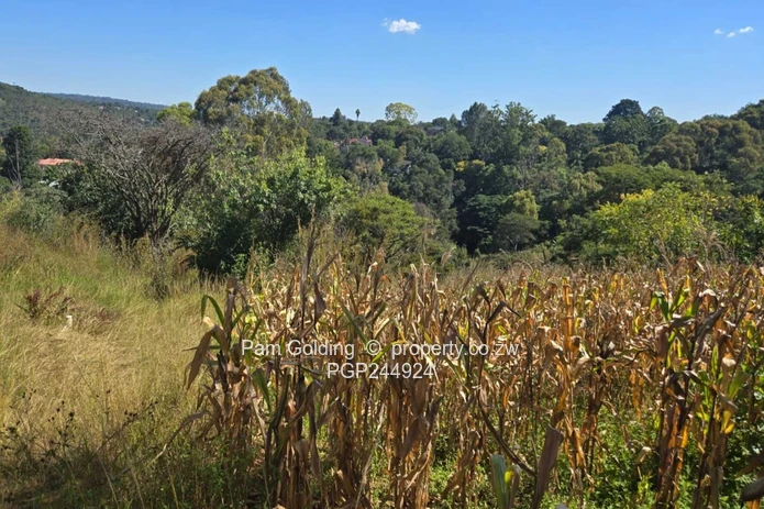 A Rare Hillside Sanctuary In Helensvale – 1.3 HA (Sole Mandate)