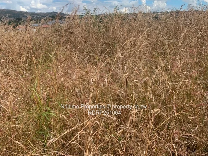 1500m² Beira Corridor Stand close To Park Cottages Plot 