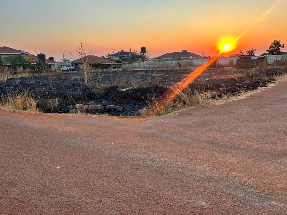 Stands & Residential Land