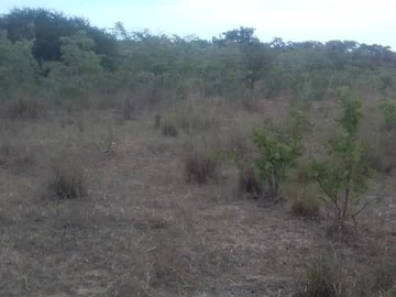 Farm & Agricultural Land