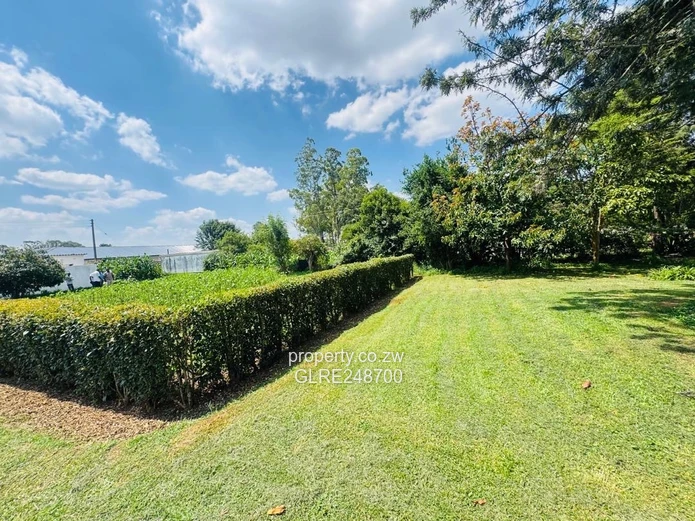 2000 m² Emerald Hill Stand — Secure, Treed & Subdividable