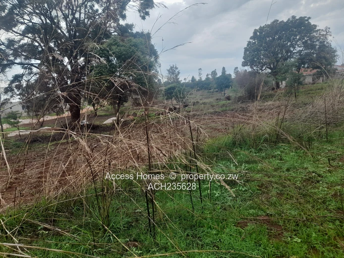 Borrowdale hogertyhill