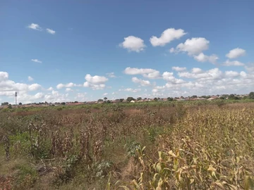 Commercial & Industrial Land