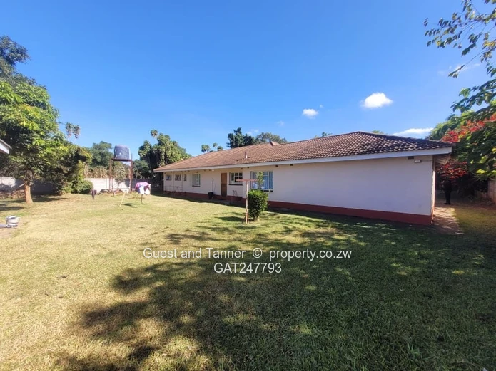 New Marlborough Neat and Spacious Family Home - 4 Bedrooms to Rent