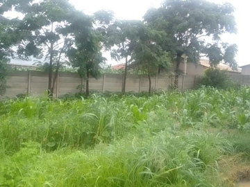 Stands & Residential Land