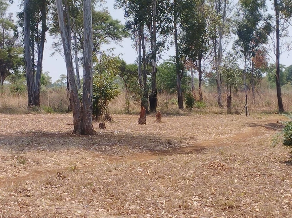 Commercial & Industrial Land