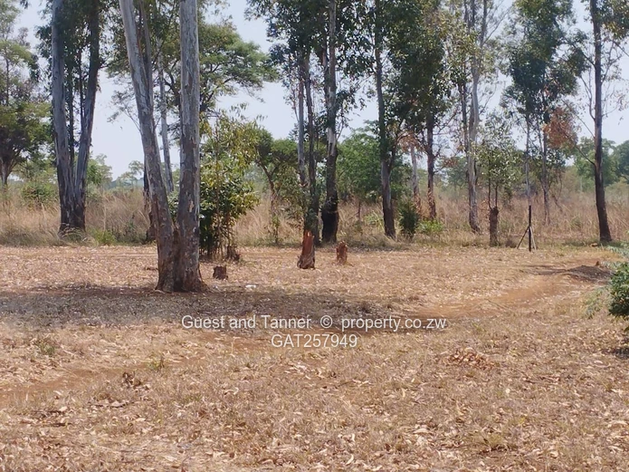Beatrice - Harare-Masvingo Road Frontage - Service Station & Shopping Mall Stand