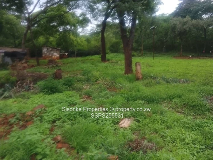 Prime Residential Stand For Sale | Kwekwe, Chicago