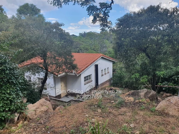 Elevated Living In Hillside