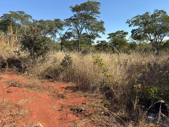 Farm & Agricultural Land