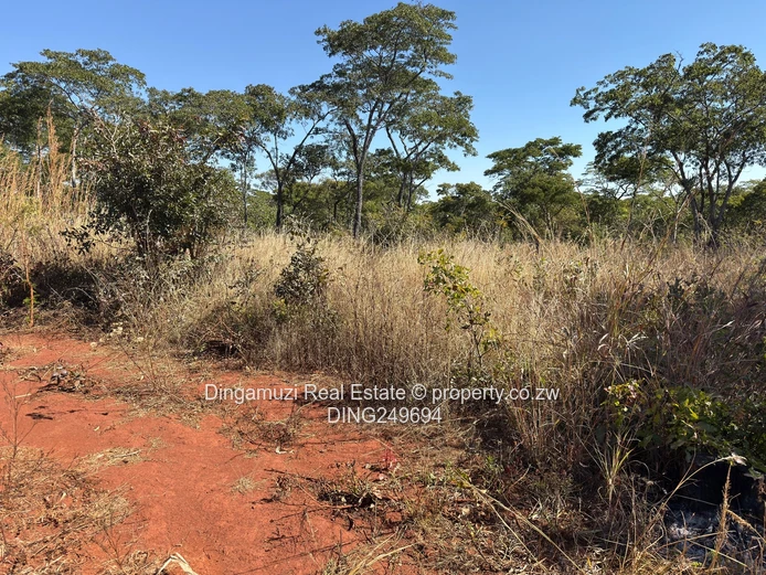Goromonzi Agricultural 4-Hectare Land