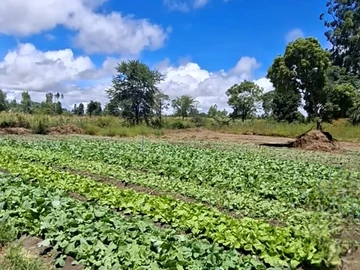 Farm & Agricultural Land