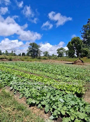 Waterfront Agricultural Land With Several Development Options 