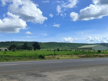 Farm & Agricultural Land