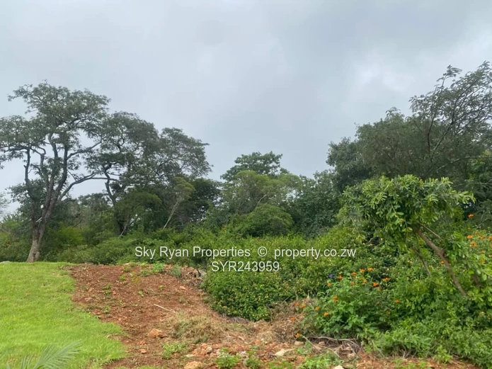 Queensdale Stand For Sale