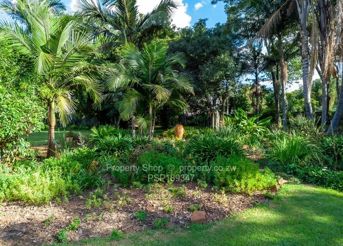 Hidden Gem in Chisipite