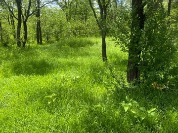 Farm & Agricultural Land