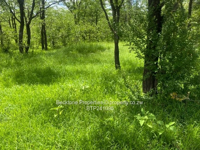 Nkayi Rd Ranch: 486ha Cattle Farm, 50km Bulawayo"