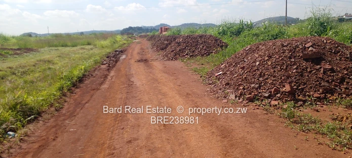 Medium Density Stands For Sale